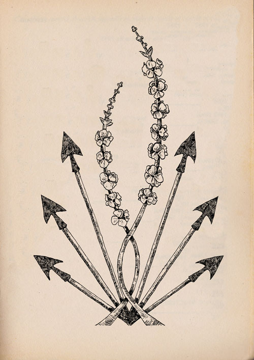 Katniss Flower Meghan Hill Illustration